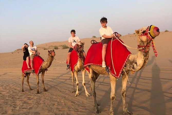 Dubai Evening Desert Safari - Al Badayer: 45 Minutes of Dune Bashing and Sandboarding