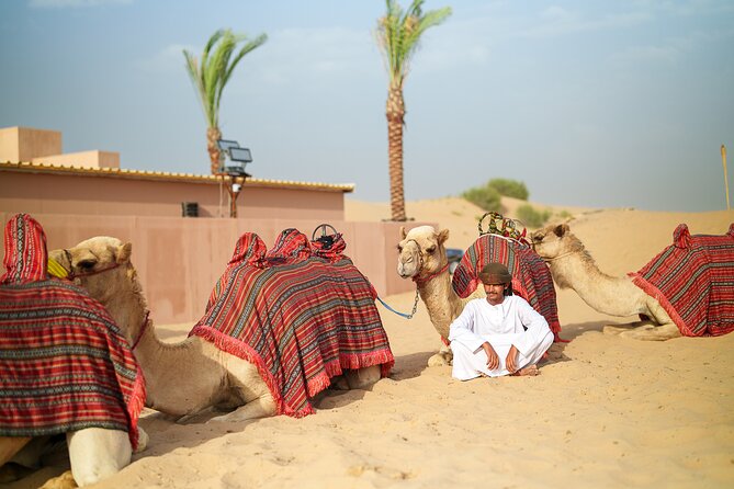 Dubai Evening Desert Safari BBQ Dinner & Transfer to Noble Camp - Guides Matter: Names I Noticed in Real Experiences
