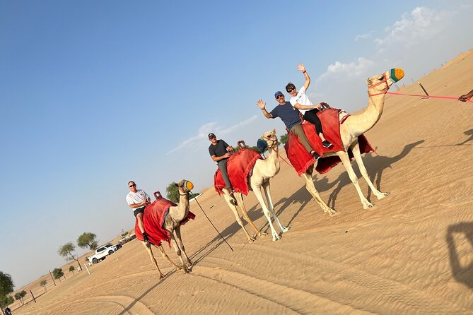 Dubai: Evening Desert Safari, Camel Ride, Shows & BBQ Dinner - Pickup window, drive time, and why the day feels compressed