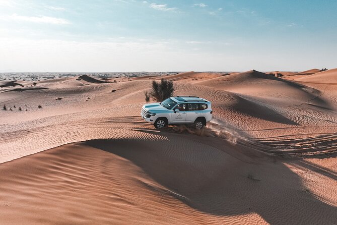 Dubai Evening Desert Safari: Sandboarding, BBQ, Camel Ride & more - Price and value: is $109 fair for what you get?