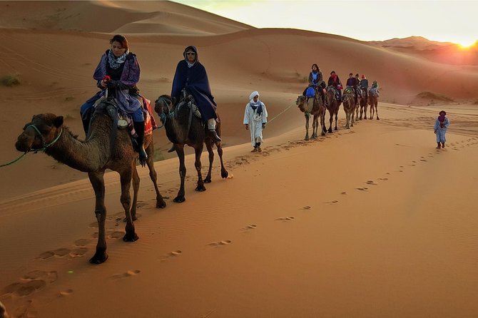 Dubai Evening Desert Safari with ATV Quad Bike & Dinner - Who should book this safari, and who should choose differently