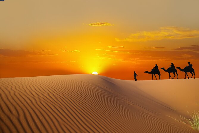 Dubai Evening Desert Safari with BBQ Dinner - Leaving Dubai Behind for the Red Dune Desert