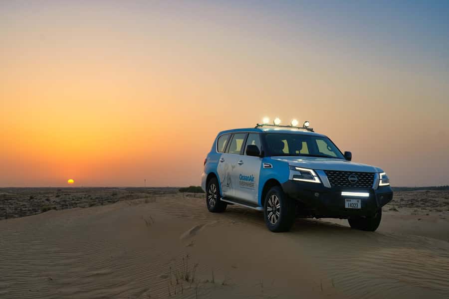 Dubai: Evening Desert Safari with Camel Ride & Stargazing - Al Marmoom Oasis Welcome: Tea, Dates, Sandboarding, Falcons, and Horses