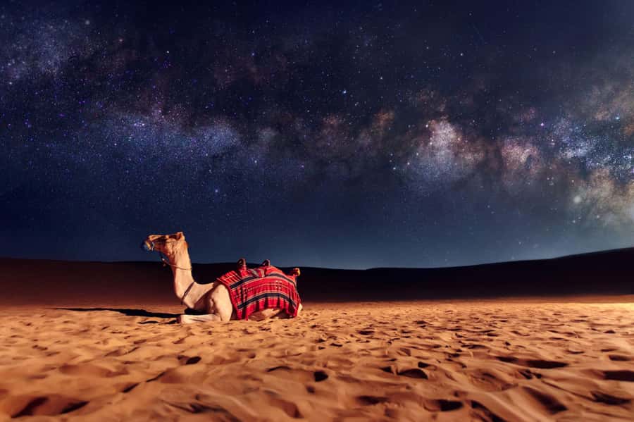 Dubai: Evening Desert Safari with Camel Ride & Stargazing - Photo Stops and Sunset Timing That Actually Helps Your Pictures
