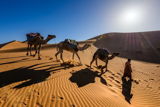 Dubai Evening Desert Safari with RedDune, sandboarding, live show - Optional ATV quad biking and other extra charges to plan for