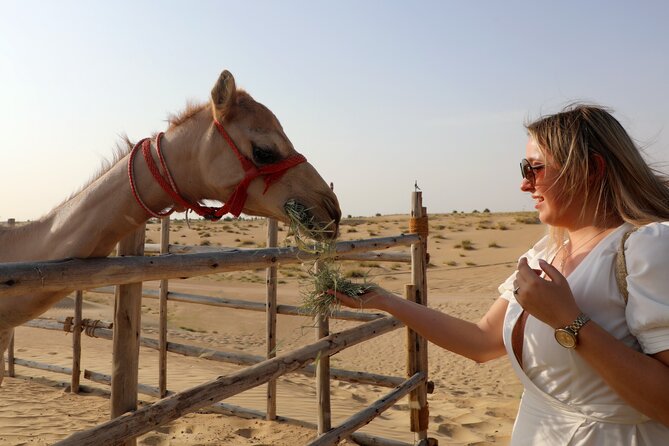 Dubai Evening Heritage Safari by Vintage G Class Al Marmoom Oasis - Logistics to know before you go