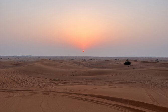 Dubai Evening Red Dune Safari With 30 Mins ATV, BBQ, Live Shows - Live entertainment, international BBQ, and the order of the night