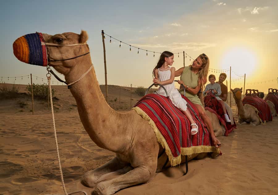 Dubai: Exclusive VIP Desert Safari Dinner with Live Show - Entering Noble Camp at Night, the Atmosphere Is the Point