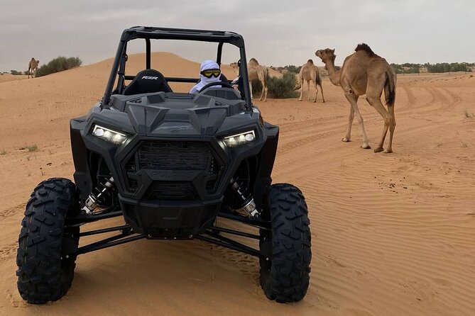 Dubai: Extreme Red Dune Buggy Desert Safari Adventure - Equipment, instruction, and how to prepare like a pro