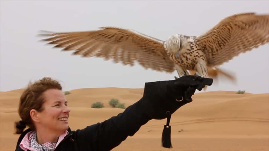Dubai Falconry Safari - Dubai Desert Conservation Reserve Drive, What You’re Looking For