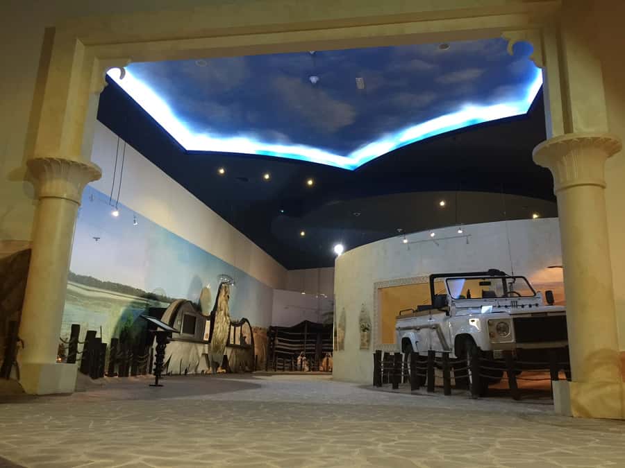Dubai Falconry Safari - The Camp Welcome Under a Ghaf Tree