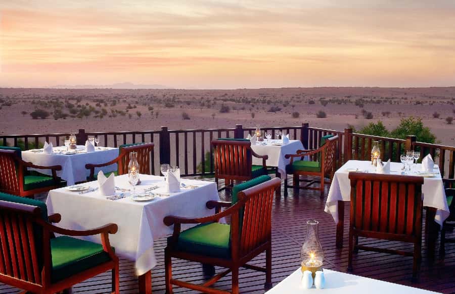 Dubai Falconry Safari - Wildlife Encounters Beyond the Birds (When You Hit the Right Morning)