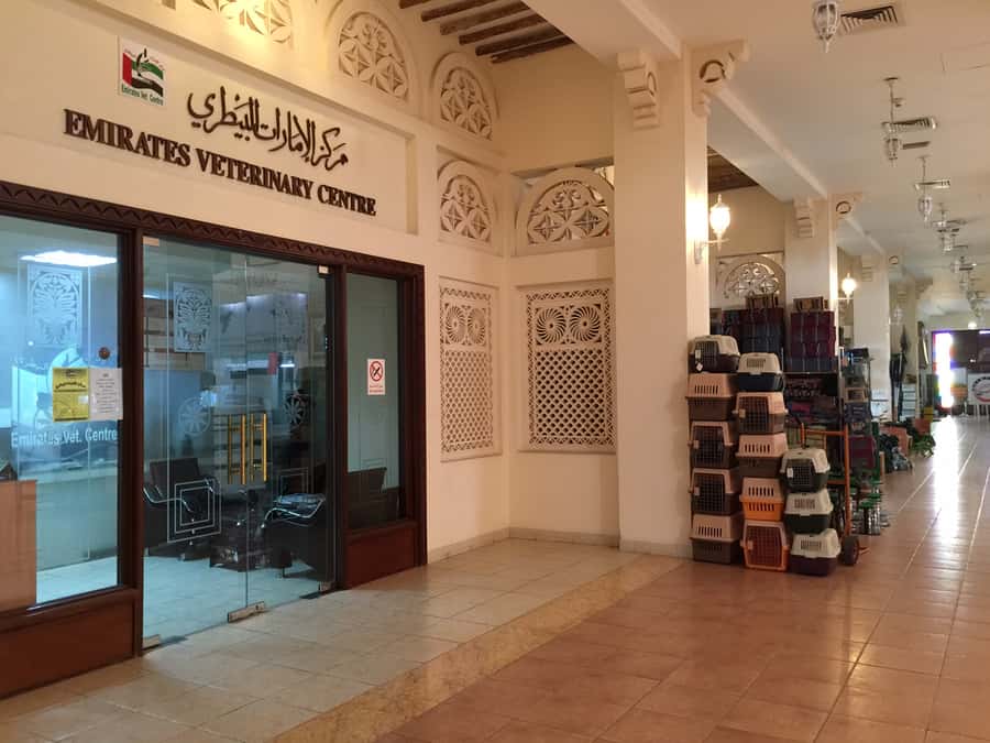 Dubai Falconry Safari - Dubai Falcon Souq and the Falcon Museum Stop You Shouldn’t Rush