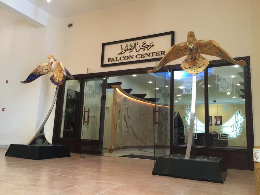 Dubai Falconry Safari - Photography and Video Help, So You Don’t Miss the Bird Moment