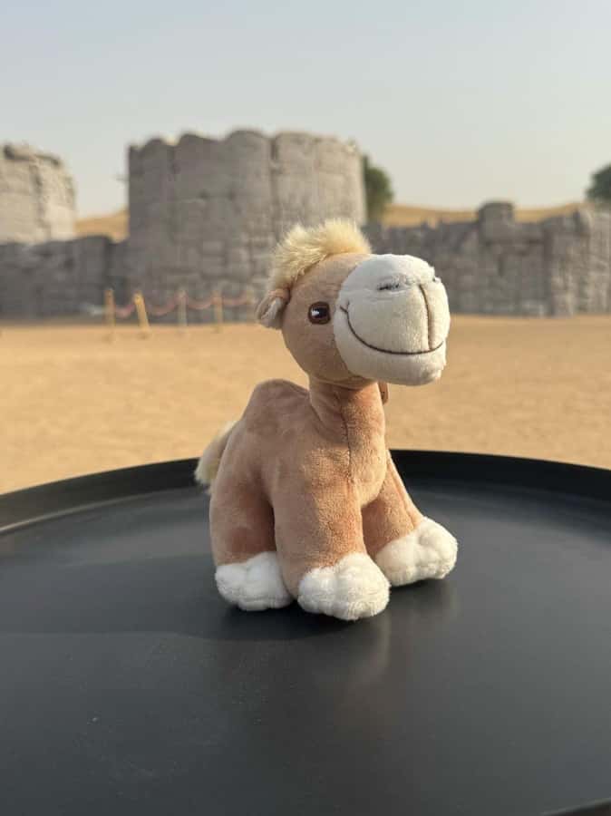 Dubai Fort Lisaili Desert: Quad, Buggy Ride & Free Souvenir - Who this suits best, and who should adjust expectations