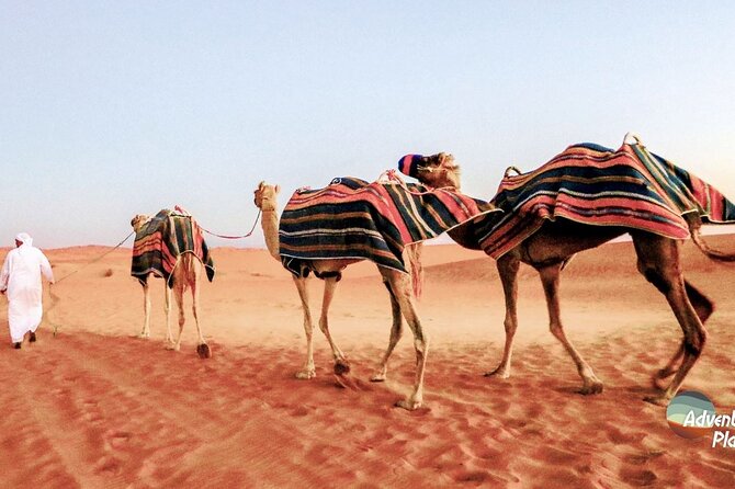 Dubai Full-Day Desert Safari Experience with Live BBQ Dinner - Camel Rides, Sandboarding, and That First Moment You Feel the Desert