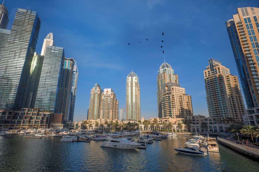 Dubai Full-Day Tour: Mosque, Souks, Burj Khalifa photo stop - A practical, all-in-one Dubai day (not a scavenger hunt)