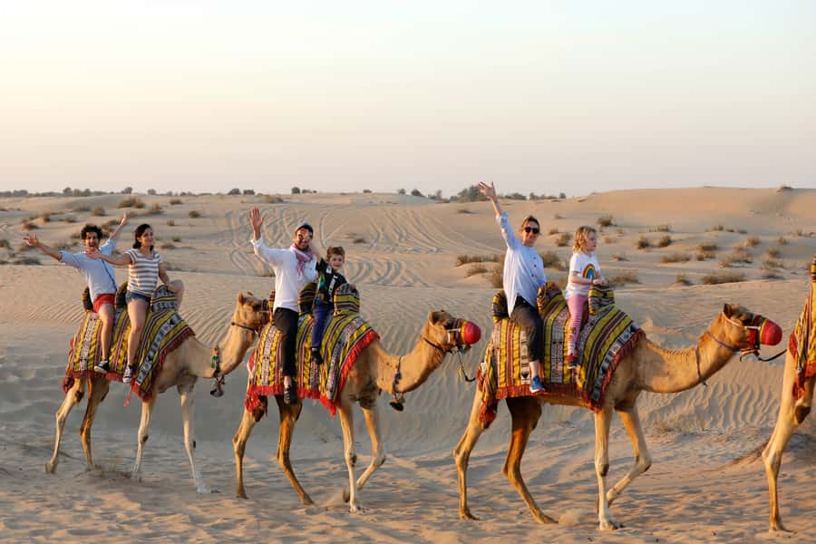 Dubai: Half-Day Camel Trekking with Al Marmoom Breakfast - Practical Tips: How to Prepare for a Comfortable Desert Morning