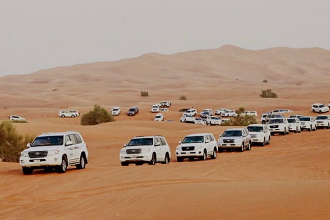 Dubai: Half-Day Desert Safari ,Camels & Sunset - Lehbab Red Dunes Safari: The Half-Day Sweet Spot
