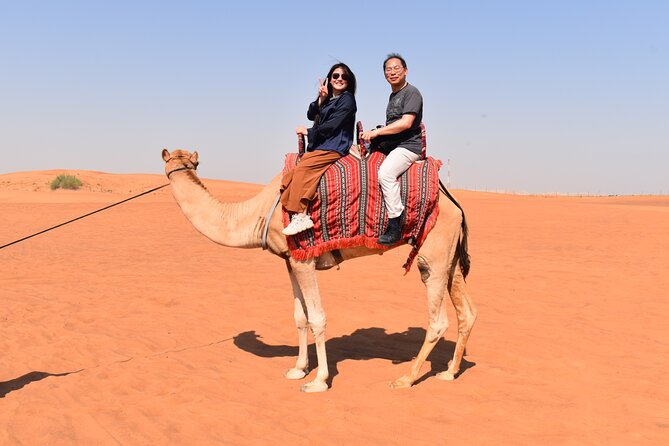 Dubai: Half-Day Desert Safari ,Camels & Sunset - Sandboarding in the Red Sands: Fun Without a Full-Day Commitment