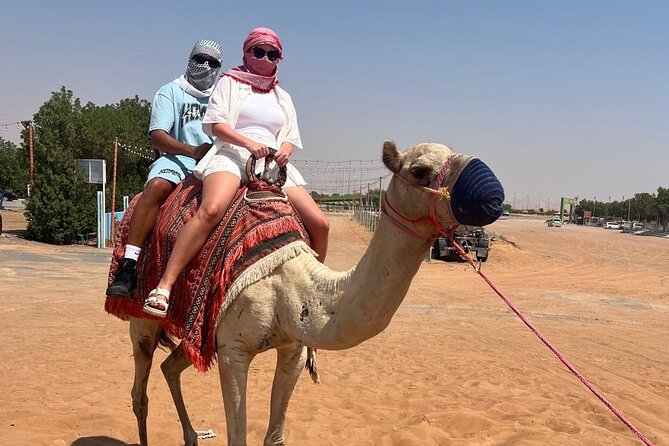 Dubai: Half-Day Desert Safari ,Camels & Sunset - Camel Ride: A Slower Moment in the Middle of the Action