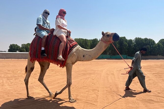 Dubai: Half-Day Desert Safari ,Camels & Sunset - Sunset View and Photo Stop: Getting the Timing Right
