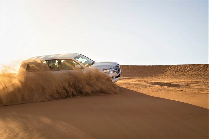 Dubai Half-day Red Dunes bashing with Sandboarding, Camel &Falcon - Falcon Photos, Arabic Dressing, and Henna Moments