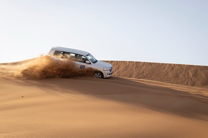 Dubai Half-day Red Dunes bashing with Sandboarding, Camel &Falcon - Pickup, Landcruiser Comfort, and How the Day Flows
