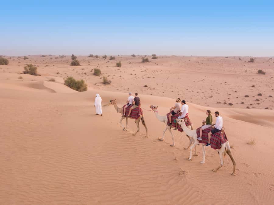 Dubai: Heritage Camel Desert Safari with Traditional Dinner - Sunset Falconry and the Close-Up Moment