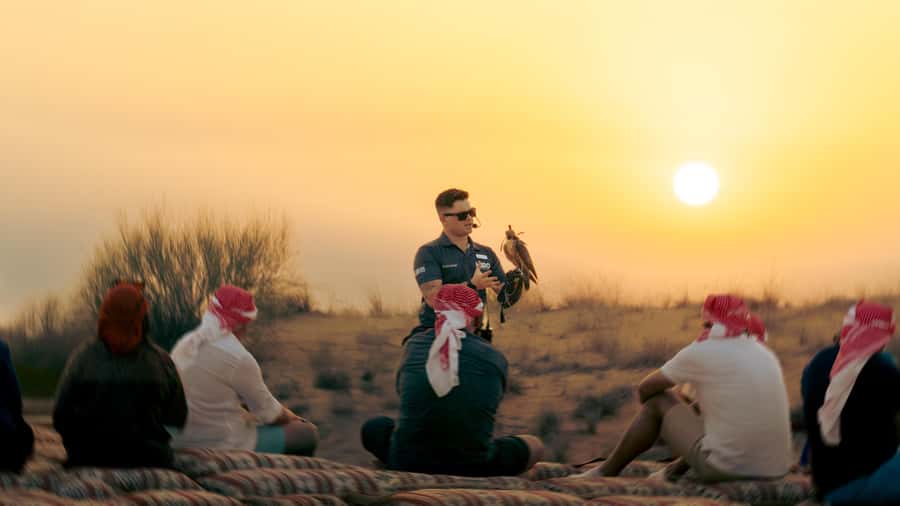 Dubai: Heritage Safari in Vintage Land Rover with Dinner - Falconry at sunset: the show you should plan around