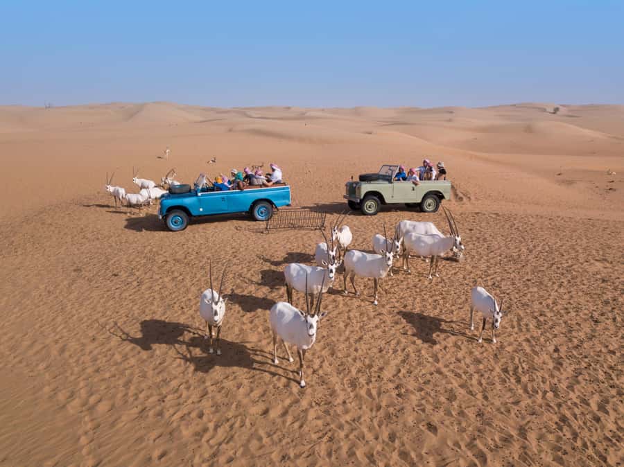 Dubai: Heritage Safari in Vintage Land Rover with Dinner - Bedouin-style camp at a private retreat: culture you can do, not just watch