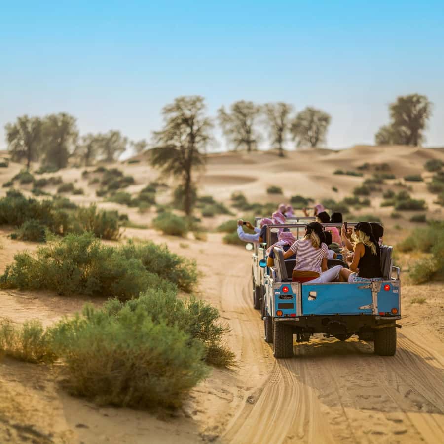 Dubai: Heritage Safari in Vintage Land Rover with Dinner - Dubai Desert Conservation Reserve: wildlife spotting without the rollercoaster