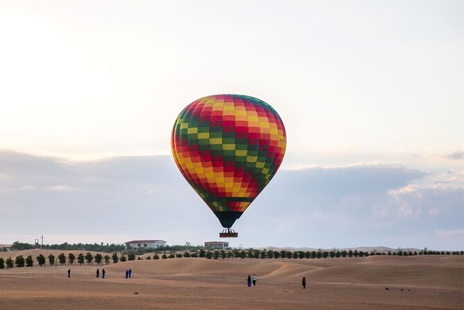 Dubai Hot Air Balloon Ride with Breakfast, Falconry & Camel Ride - Falconry and camel ride: how to get good moments without rushing
