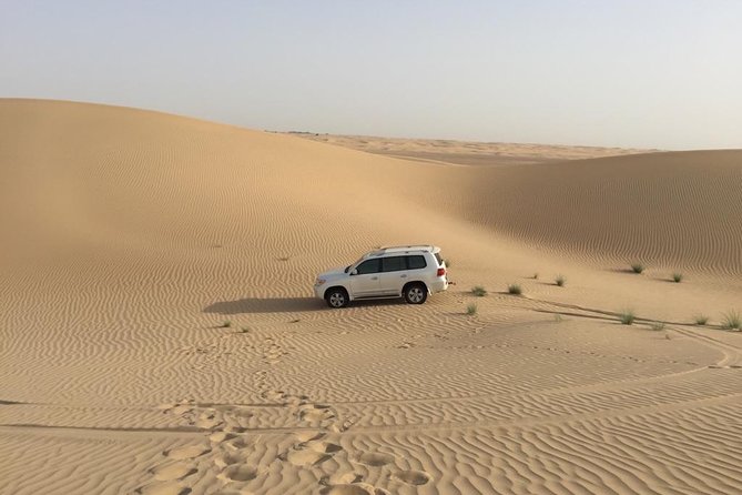 Dubai Kids Friendly Morning Safari - Private Car - Guide Service You’ll Actually Notice: Saf and Family-First Flexibility