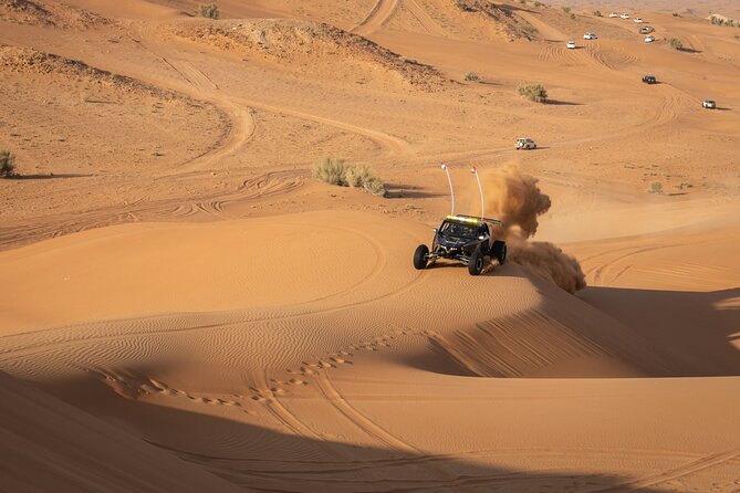 Dubai Long Self-Drive Quadbike with Camel and Falcon - Sandboarding and camel ride: the classic desert moments, timed well