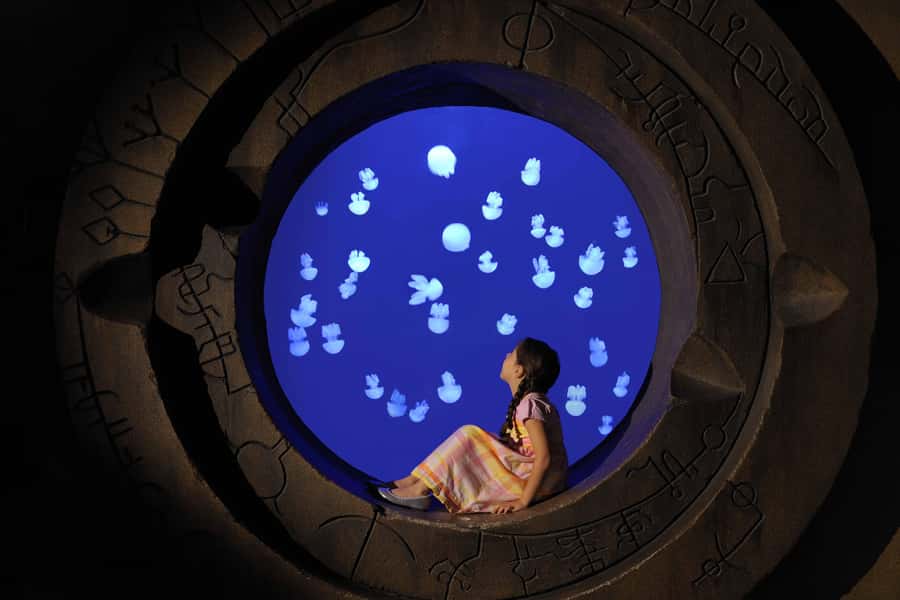 Dubai: Lost Chambers Aquarium Entry Ticket - Lost Chambers Aquarium at Atlantis The Palm: what you are really paying for