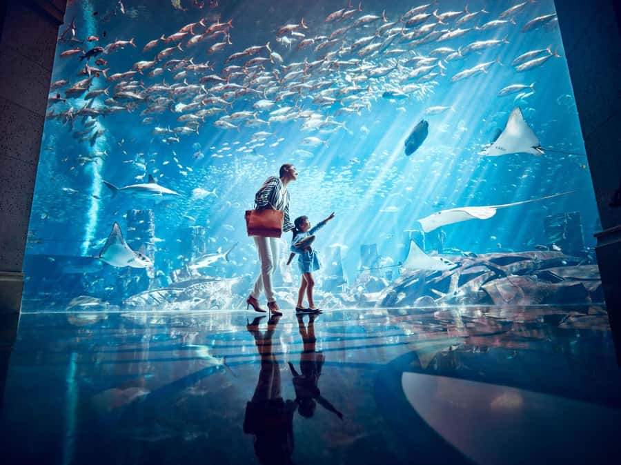 Dubai: Lost Chambers Aquarium Entry Ticket - The 14 octagon chambers: how the layout shapes your experience