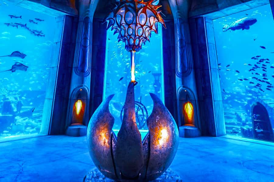 Dubai: Lost Chambers Aquarium Entry Ticket - Ambassador Lagoon: the biggest tank and your best photo moment