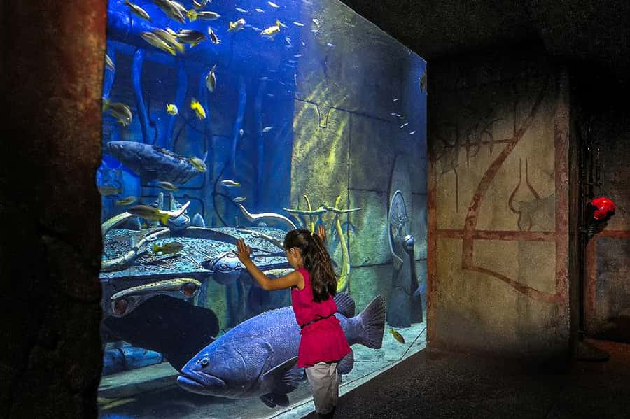 Dubai: Lost Chambers Aquarium Entry Ticket - Snacks, drinks, and the Gordon Ramsay connection