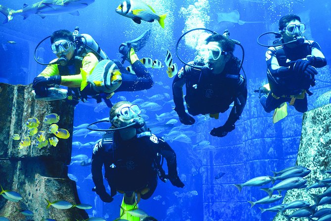 Dubai Lost Chambers Dive Discovery - What happens before you go in: PADI-style skills and paperwork