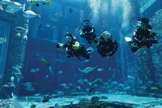 Dubai Lost Chambers Dive Explorer (Certification Required) - Where the experience lives: Lost Chambers Aquarium and Atlantis The Palm
