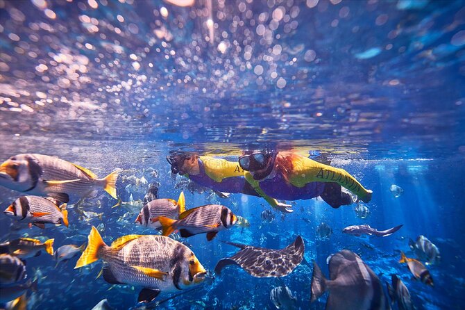 Dubai Lost Chambers Ultimate Snorkel Experience - Where the Experience Starts: Atlantis The Palm Meeting Point