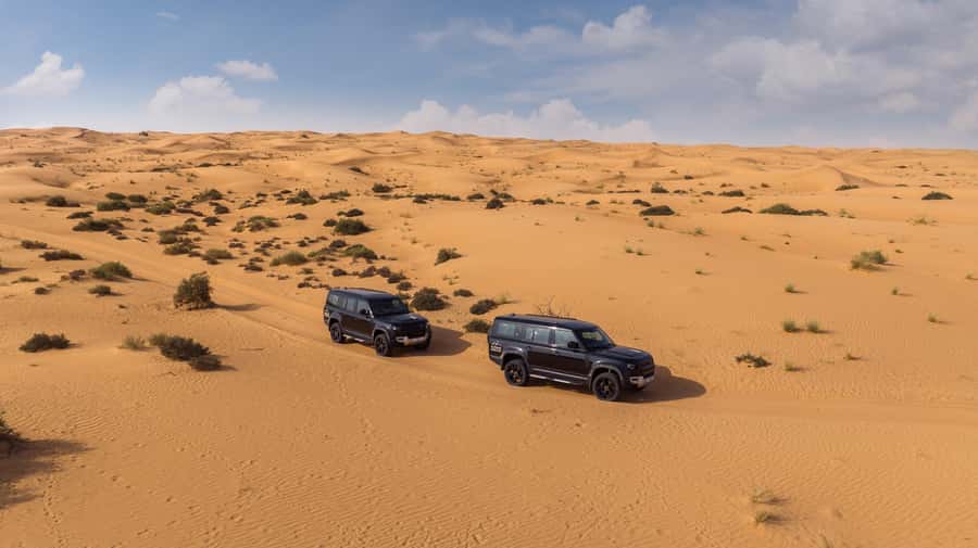 Dubai: Luxury Balloon Flight with Michelin-Curated Breakfast - Falconry above the dunes, plus the in-flight storyteller