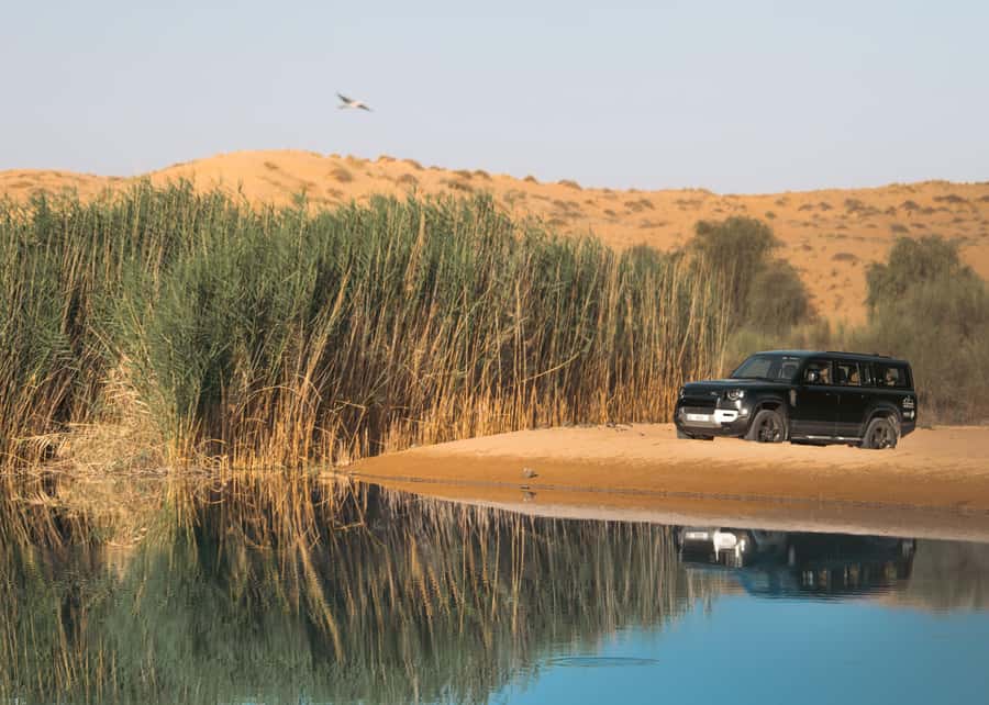 Dubai: Luxury Safari with Michelin-Curated 5-Course Dinner - A royal-feeling desert night, designed around the reserve
