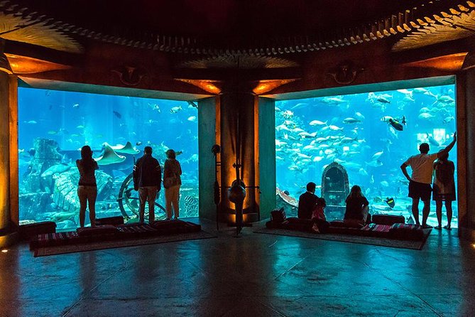 Dubai Mall Aquarium & Underwater Zoo with Penguin Cove Tickets - Penguin Cove Included, What You’ll Want to Double-Check