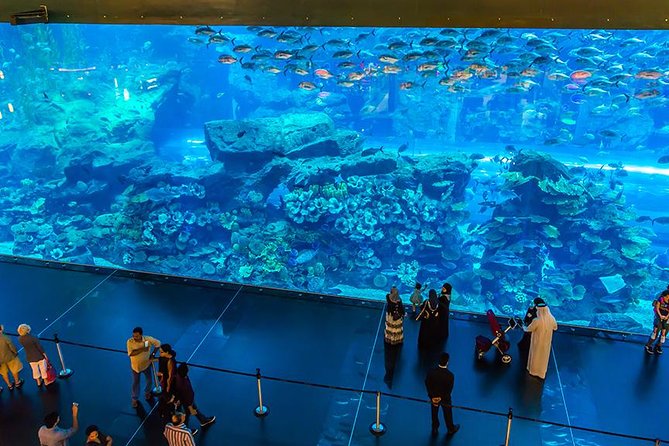 Dubai Mall Aquarium & Underwater Zoo with Penguin Cove Tickets - Timing: When to Enter the Dubai Aquarium for the Best Experience