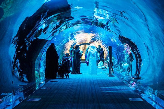 Dubai Mall Aquarium & Underwater Zoo with Penguin Cove Tickets - Price and Logistics: Is $54.52 Worth It?