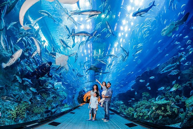 Dubai Mall Aquarium with Penguin Cove + Skyview Ticket - Underwater Zoo and the tank experience: Why it works for kids