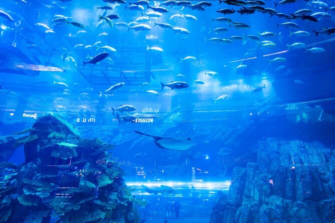Dubai Mall Aquarium with Penguin Cove + Skyview Ticket - Should you book this Dubai Mall Aquarium plus Sky Views Observatory ticket?
