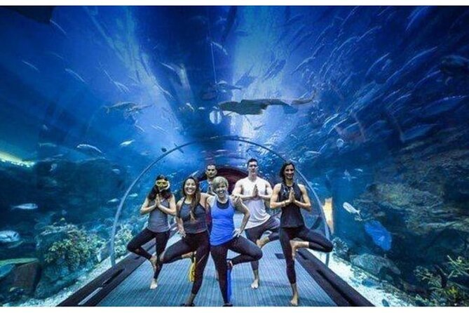Dubai Mall Aquarium with Penguin Cove + Skyview Ticket - Sky Views Observatory on floors 52 and 53: the glass ride and the skyline payoff